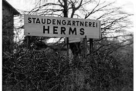 Firmenschild Staudengärtnerei Herms in Eutin
