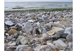 Steine am Strand - Archäologische Sprechstunde zeiTTor