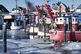 Winter im Niendorfer Hafen an der Ostsee