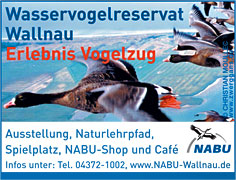 NABU Wasservogelreservat Wallnau Fehmarn
