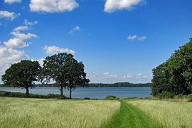 Hemmelsdorfer See - Blick von Warnsdorf aus